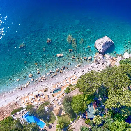 ナウティカル フェティエ