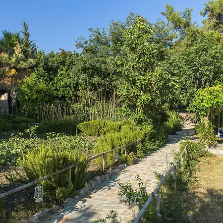 ナウティカル フェティエ